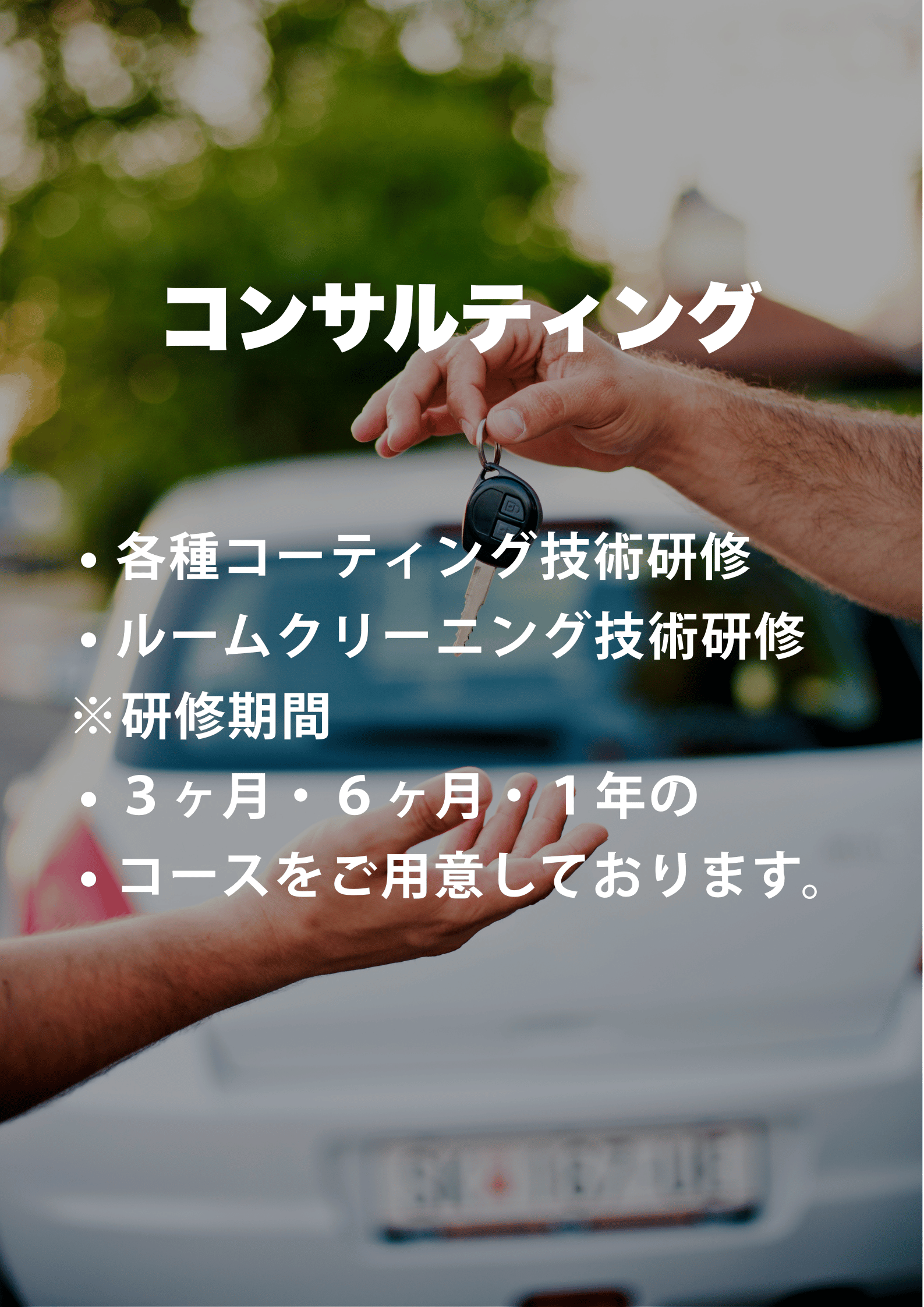 画像の説明文